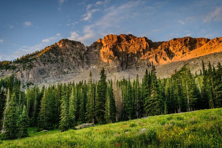 Mountain landscape with pine trees and a grassy field under a sunset sky.
