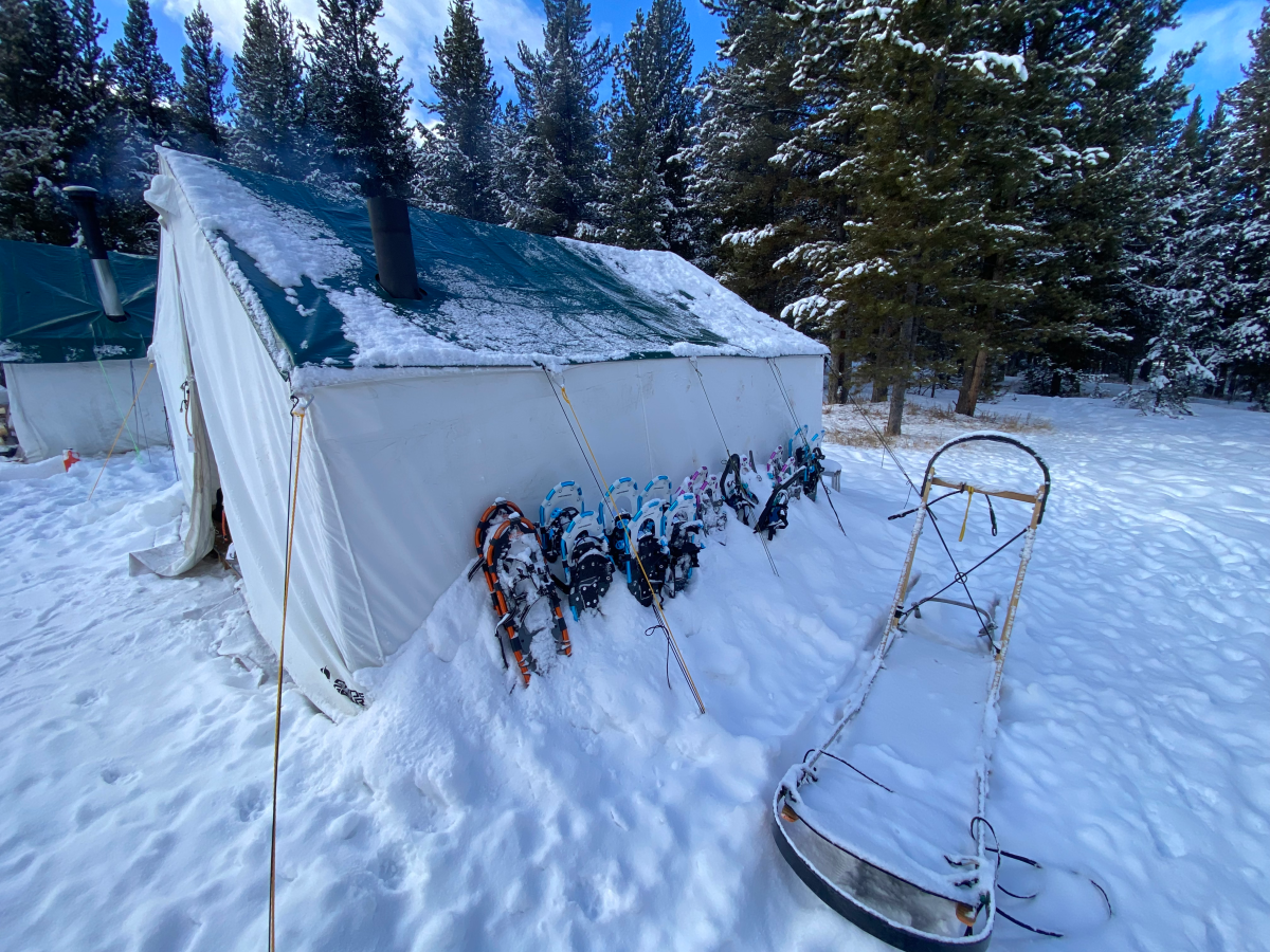 Winter tent with snowshoes and sled outside in snowy forest.