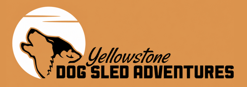 Logo with dog silhouette, sun, and 'Yellowstone Dog Sled Adventures' text on an orange background.