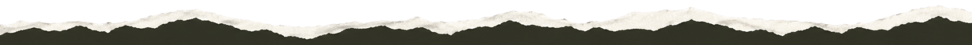 White paper with a rough black base border.