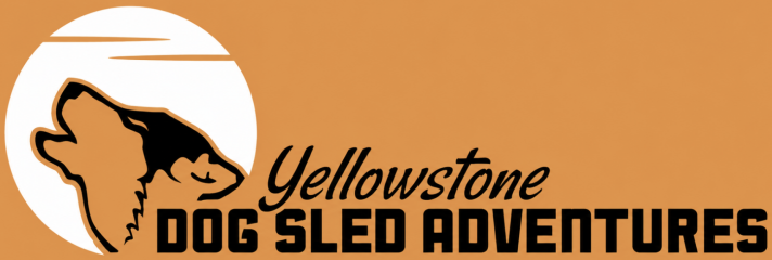 Yellowstone Dog Sled Adventures